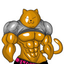 swolcat avatar