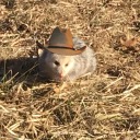 swordmaster-exar avatar