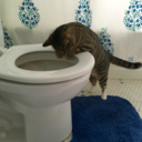 sydney-smiles avatar