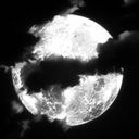 t-ittakeswhatever avatar