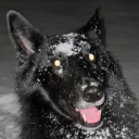 t3eth-n-p4wzz avatar