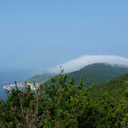 tailor-sightseeing avatar