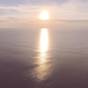 taintedladies avatar