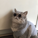 takeallofme-mj avatar