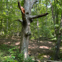 takeitnashsworld avatar