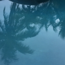 takeme-to-the-moon avatar