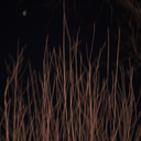 takeme-tothe-riot avatar