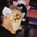 takoyaki-furby avatar