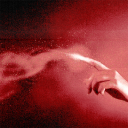 talednewsletter avatar