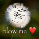 tales-of-chivalry avatar