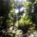 talis-vita-est avatar