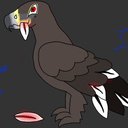 talonsandruffledfeathers avatar