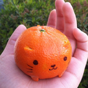 tangerine-kittens avatar