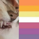 tangiblerhutyle avatar