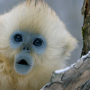 tantiedumonde avatar