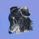 tarotandtea-leaves avatar