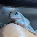 tashathestoryteller avatar