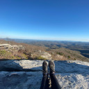 tastedesirefavorfire avatar