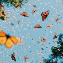 tastedlikedamnation avatar