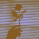 tawnykitten-21 avatar