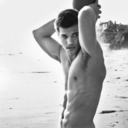 taylor-lautner-armpit avatar