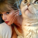 taylorsrainbow avatar