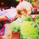 taylorswifteverythinghaschanged avatar