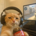 tdksjdldn-dln avatar