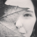 teacupwonderland avatar