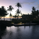 team-dikrats-beetch avatar