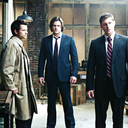 teamfreewillbingo avatar