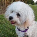 teamiplier-prefrences avatar