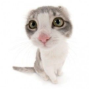 tearsofavampire avatar