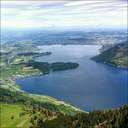 tearsspeaklouder avatar