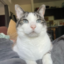 technicolorclutter avatar