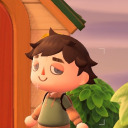 teddyxcrossing avatar