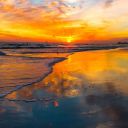 teenagebananastarfish avatar