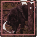 teenagedracula avatar