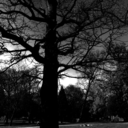 tegannnxox-blog avatar