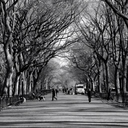 tellmeabout1t avatar