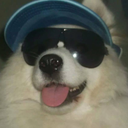 temmie avatar