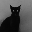 temporalsummation avatar