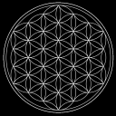 tempusedax-rerum avatar