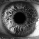 tenthreepsychedelic avatar