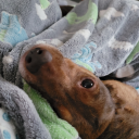 teresaannmariemorgan avatar