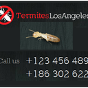 termitetreatmentlosangeles-blog avatar