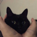 terrible-yfree avatar