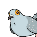 terrorbirb avatar