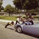 texas-prarie-chicken avatar