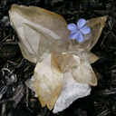 texasgemstones avatar